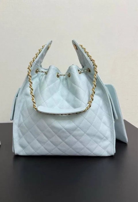 Chanel Small Hobo 25bag 30cm