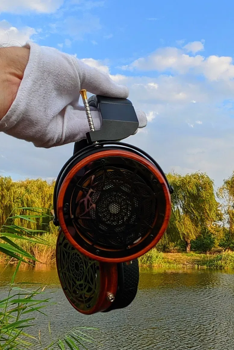 DIY HI-FI HI-END 70мм динамик настройка звука Sennheiser HD800s 45000г — фото 5