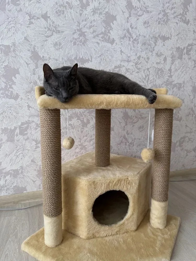 Домики лежанка когтеточка для кота кошк — фото 3