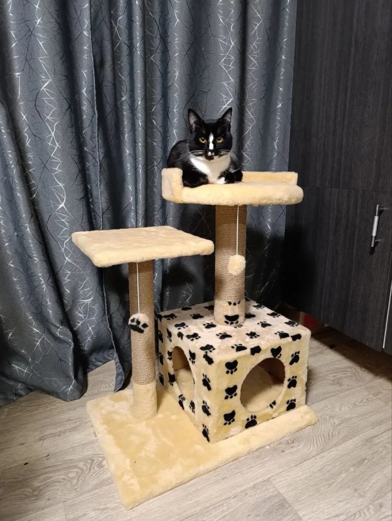 Домики лежанка когтеточка для кота кошк — фото 4