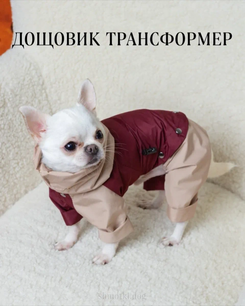 ДОЩОВИК для собаки одяг