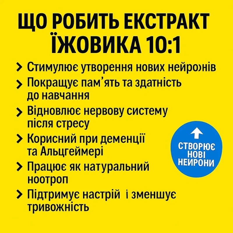Екстракт їжовика гребінчастого / экстракт ежовика гребенчатого 10х — фото 3