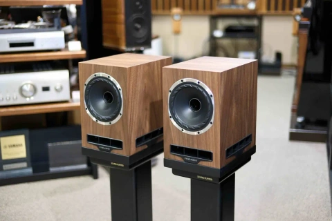 Fyne Audio F500S HI-FI акустика
