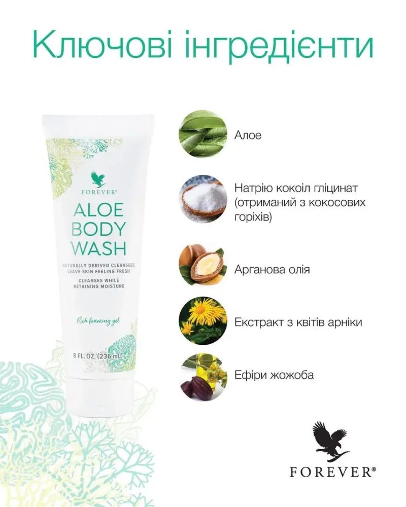 Гель для душу АЛОЕ та Лосьйон для тіла АЛОЕ (США) Forever Living — фото 2