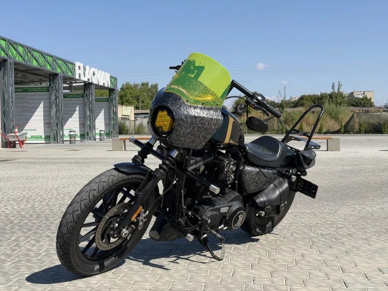 Harley-Davidson (Sportster) iron 883N/1200 Custom — фото 3