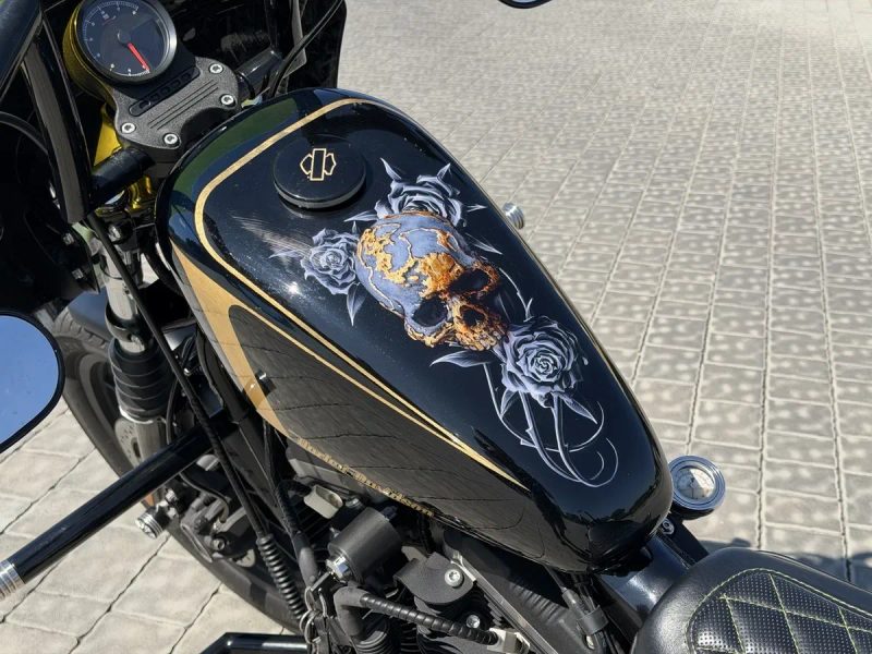 Harley-Davidson (Sportster) iron 883N/1200 Custom — фото 6