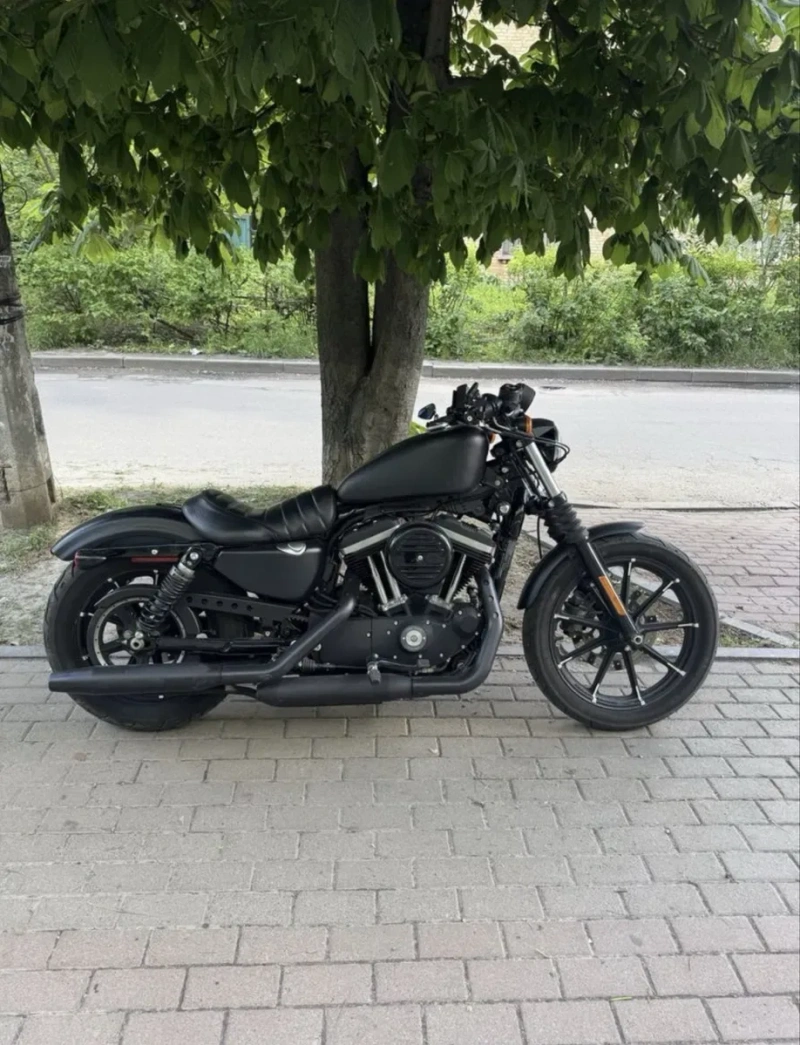 Harley Davidson  XXL Sportster 883 СРОЧНАЯ ПРОДАЖА — фото 2
