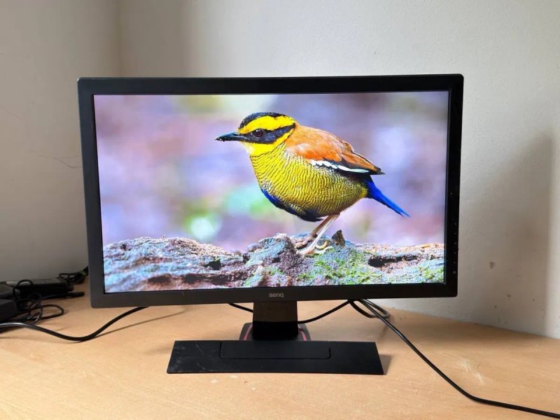 Ігровий монітор BenQ ZOWIE / 24″ / Full HD / 60 Гц / 1 мс — фото 3