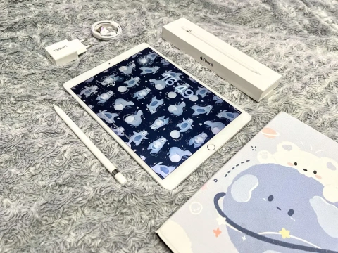 IPad Pro 10.5 (64 gb) wi-fi, 120 Герц + подарки! А1701