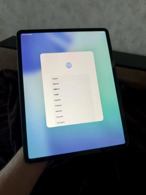 Ipad Pro 12.9 4-generation,256,акб 94,icloud,ios 26.5.2,в идеальном состоянии