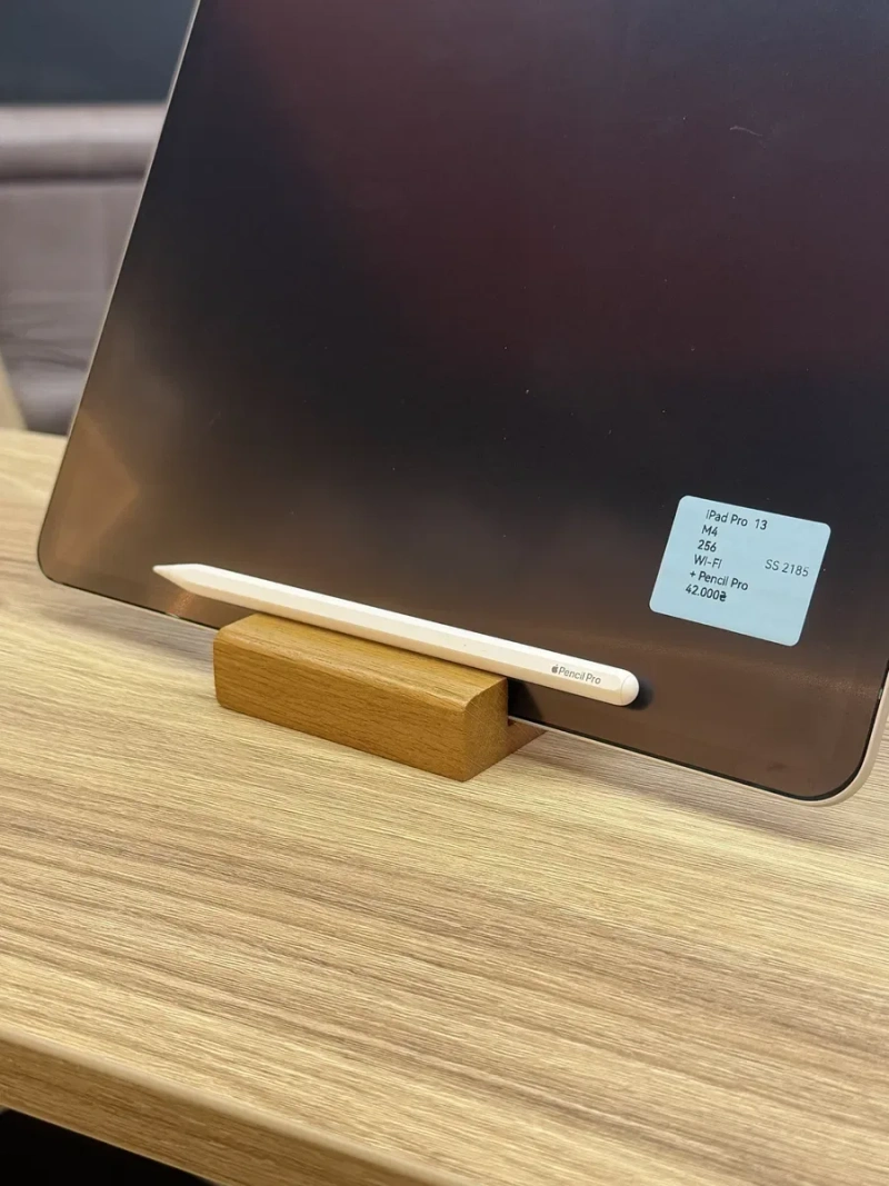 iPad Pro 13 M4 256 GB + Apple Pencil Pro — фото 8