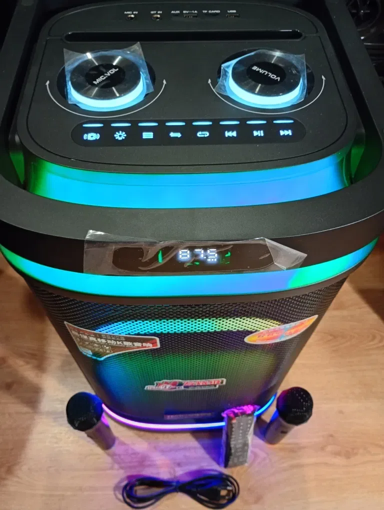 Караоке акустика Temeisheng-10(блютуз, microSD, USB,FM) ПультДУ, 2микр — фото 5