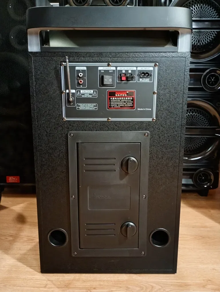 Караоке акустика Temeisheng-10(блютуз, microSD, USB,FM) ПультДУ, 2микр — фото 7