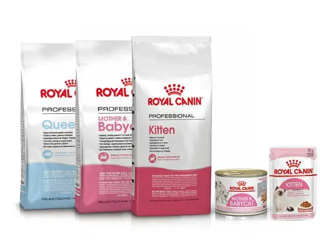 13 кг ROYAL CANIN Для Мейнкунів сухий корм 13 кг по 350 грн за кіло — фото 4