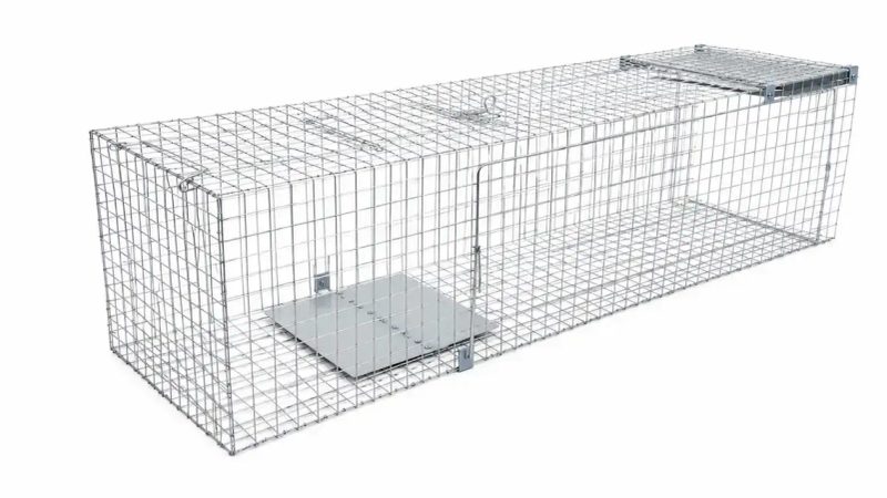 ХІТ продажу! Живоловка 120×33×37 см — надійна пастка на куниць, ласок, пацюків і котів | Надійність Зручність — фото 3