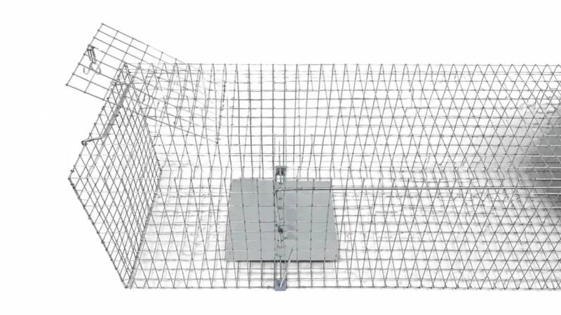 ХІТ продажу! Живоловка 120×33×37 см — надійна пастка на куниць, ласок, пацюків і котів | Надійність Зручність — фото 4