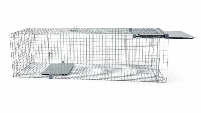 ХІТ продажу! Живоловка 120×33×37 см — надійна пастка на куниць, ласок, пацюків і котів | Надійність Зручність — фото 5