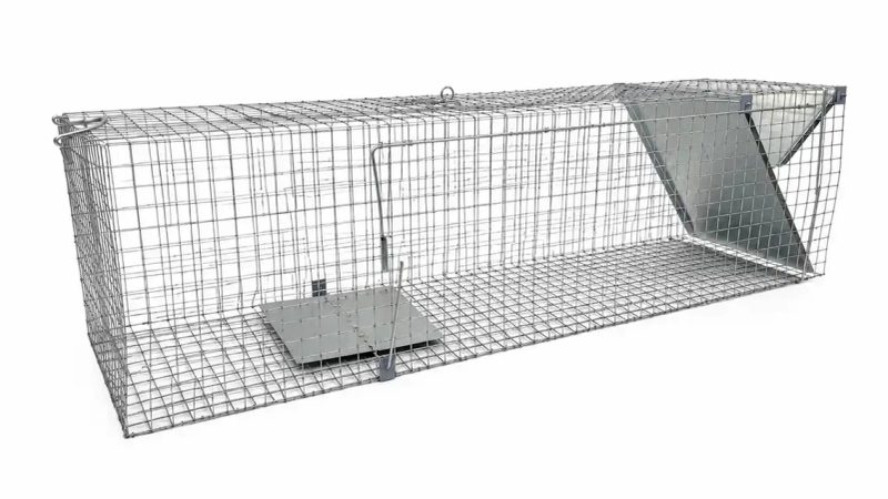 ХІТ продажу! Живоловка 120×33×37 см — надійна пастка на куниць, ласок, пацюків і котів | Надійність Зручність — фото 7