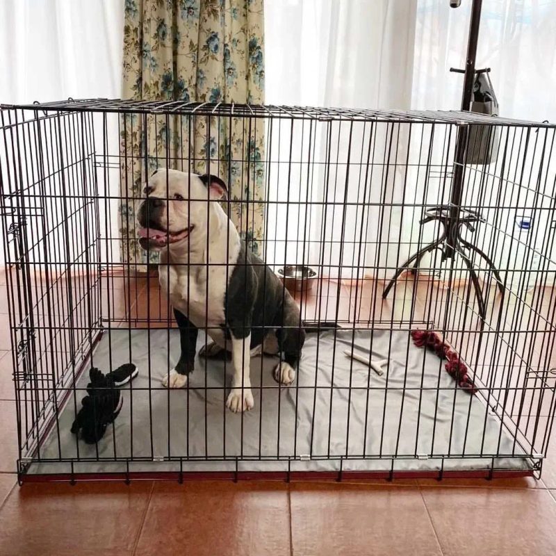 Клетка для собак Польша, клітка для собаки, переноска для собак, дом для собак, манеж для собак, вольер для собак щенка на вырост — фото 7