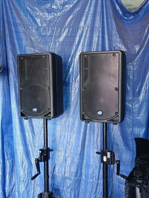 Колонки ,акустика RCF 310A .не FBT, EV.