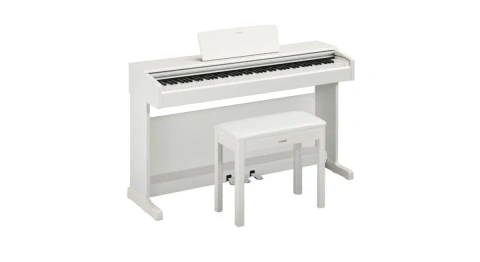 kurzweil ka 150 wh kurzweil ka 130wh, kurzweil cup m1, kurzweil m 120, casio ap 470, casio ap 270 casio px 870 nux nck 310 nux wk330, toneberg 210