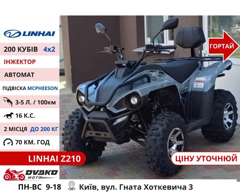 Квадроцикли Linhai на 200 300 320 кубів m170 z210, Promax та інші — фото 2