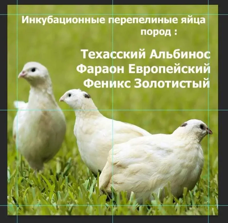 Лампа керамическая инфракрасная 50, 75, 100,  150, 200 Вт — фото 8