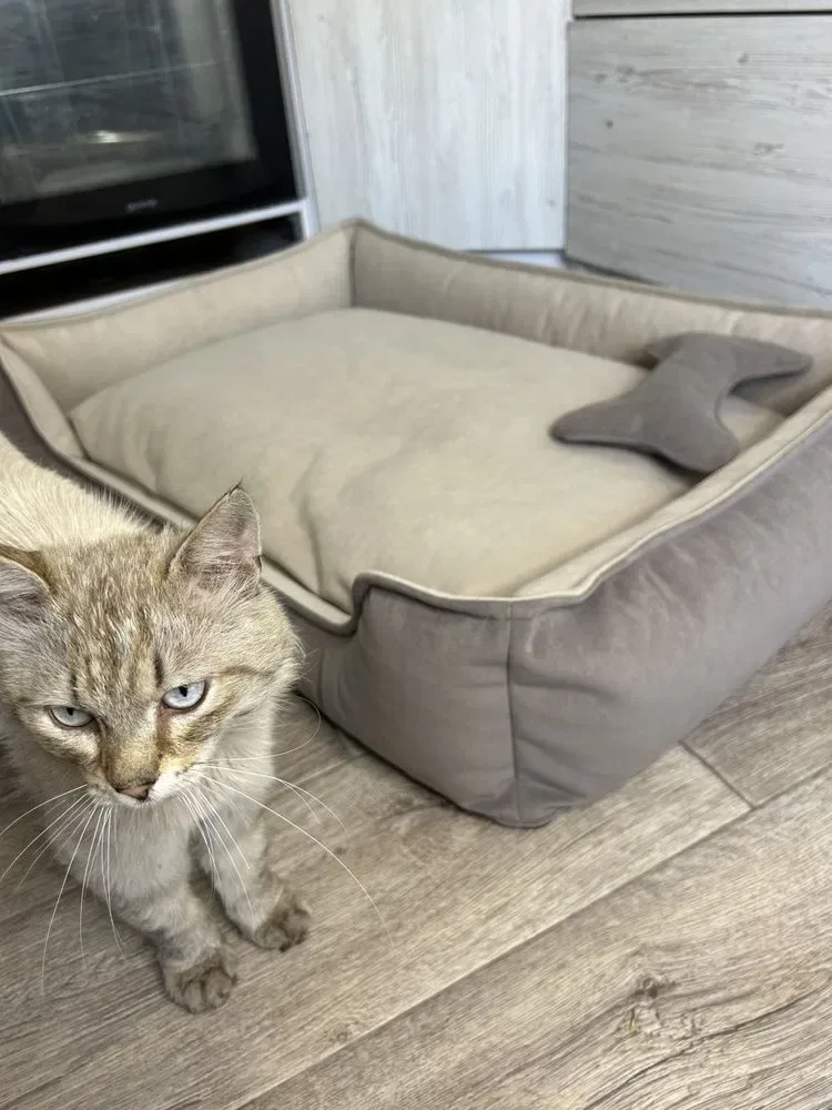 Лежанка лежак для котів і собак | М'яка лежанка з бортиками | XS-XXL — фото 6