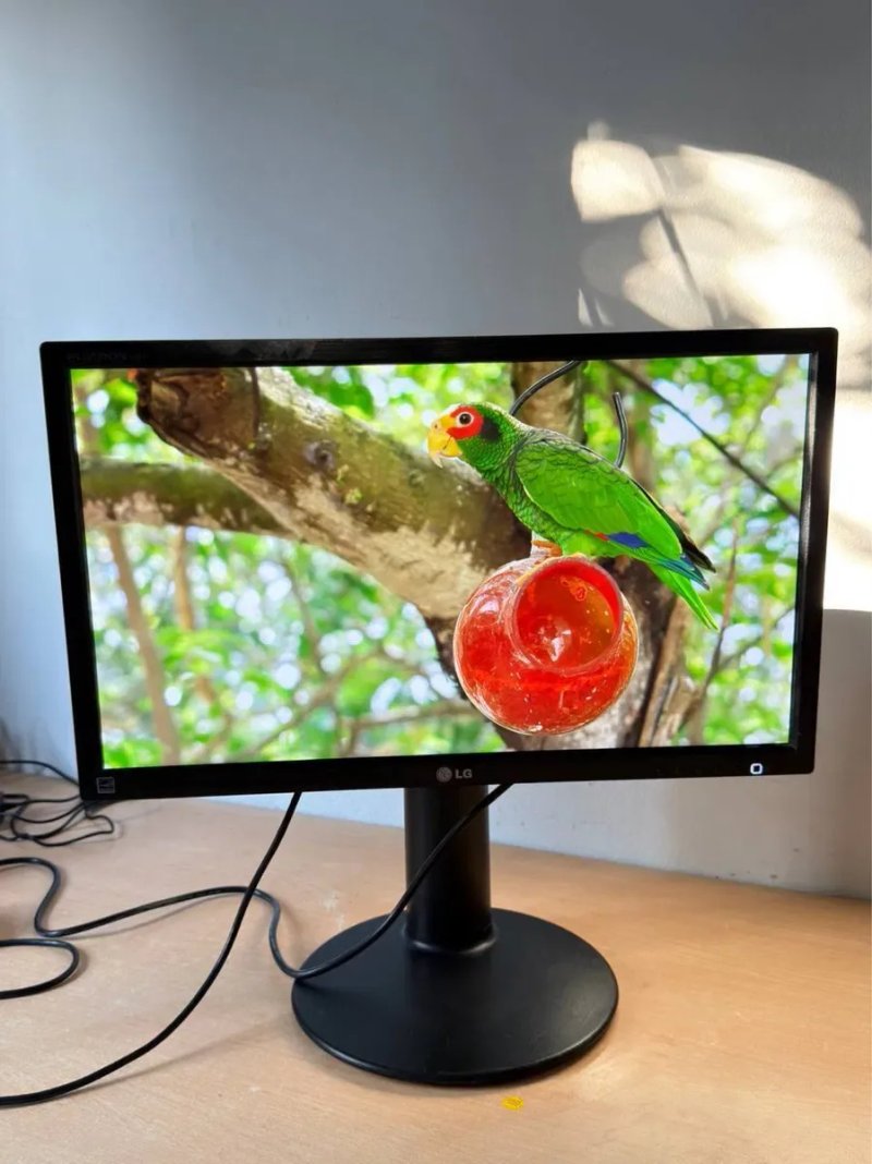 Монітор LG Flatron 24″ / Full HD / DVI / VGA / USB — фото 2