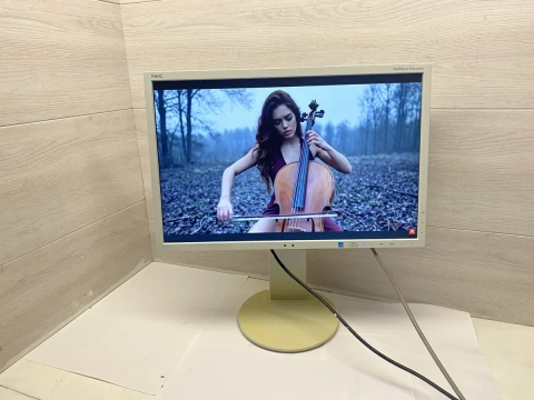 Монітор NEC MultiSync EA223WM 22" 1680×1050