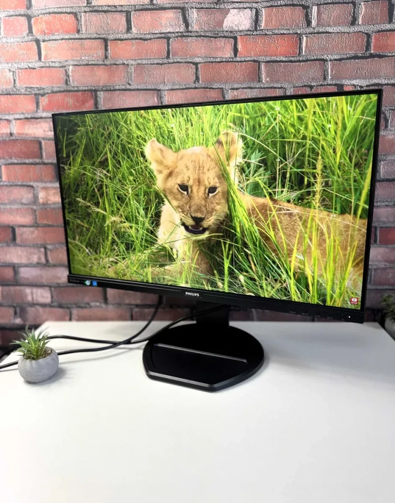 Монітор Philips 241 B8Q·FHD·LED·IPS·Тонкі рамки·2019рік·75Гц·динаміки — фото 8