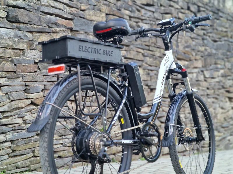 Мощный 1500W 48V безшумный Ebike электровелосипед на дамской раме — фото 2