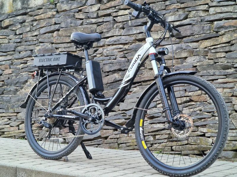 Мощный 1500W 48V безшумный Ebike электровелосипед на дамской раме — фото 3