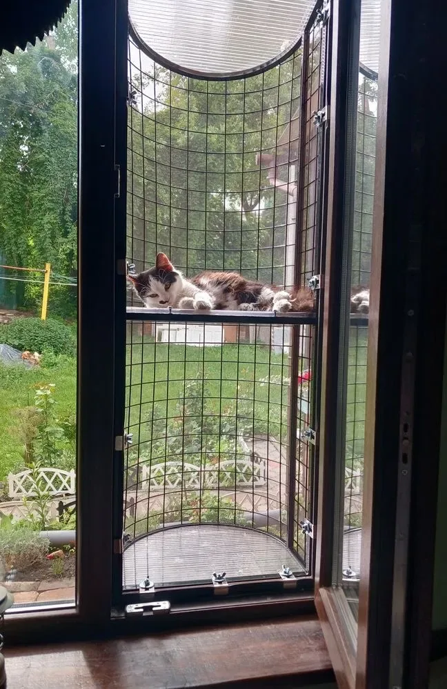 Напівкруглий балкон для котів з 1 і 2 поверхом — фото 3