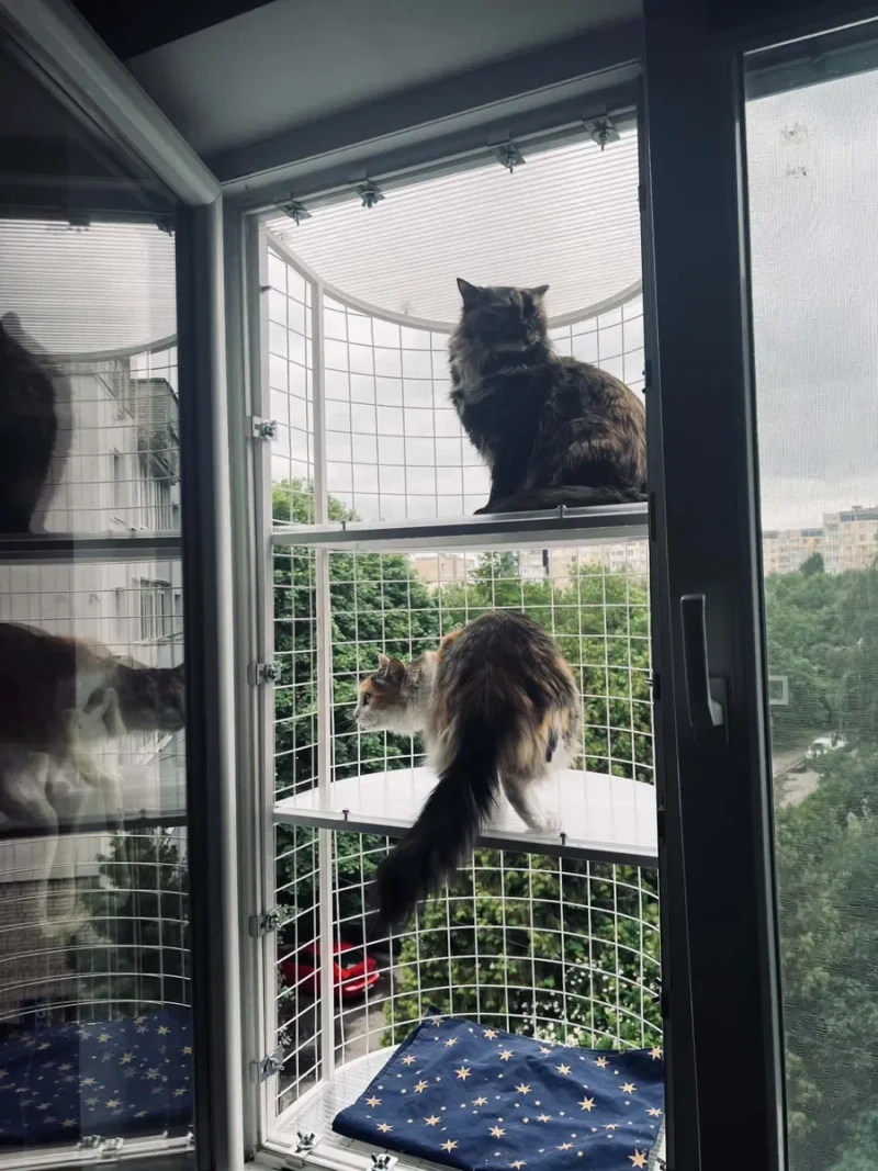 Напівкруглий балкон для котів з 1 і 2 поверхом — фото 8