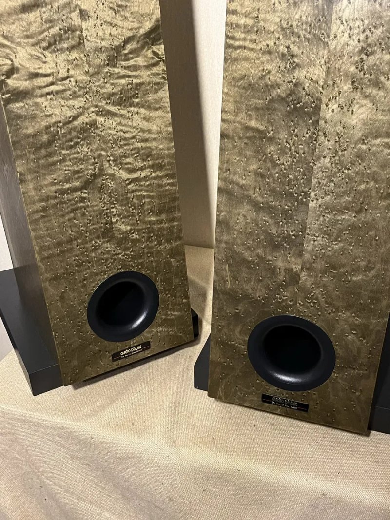 Немецкая редкая HI-END акустика AUDIO-PHYSIC TEMPO 2 (150Вт/8Ом/21кг) — фото 2