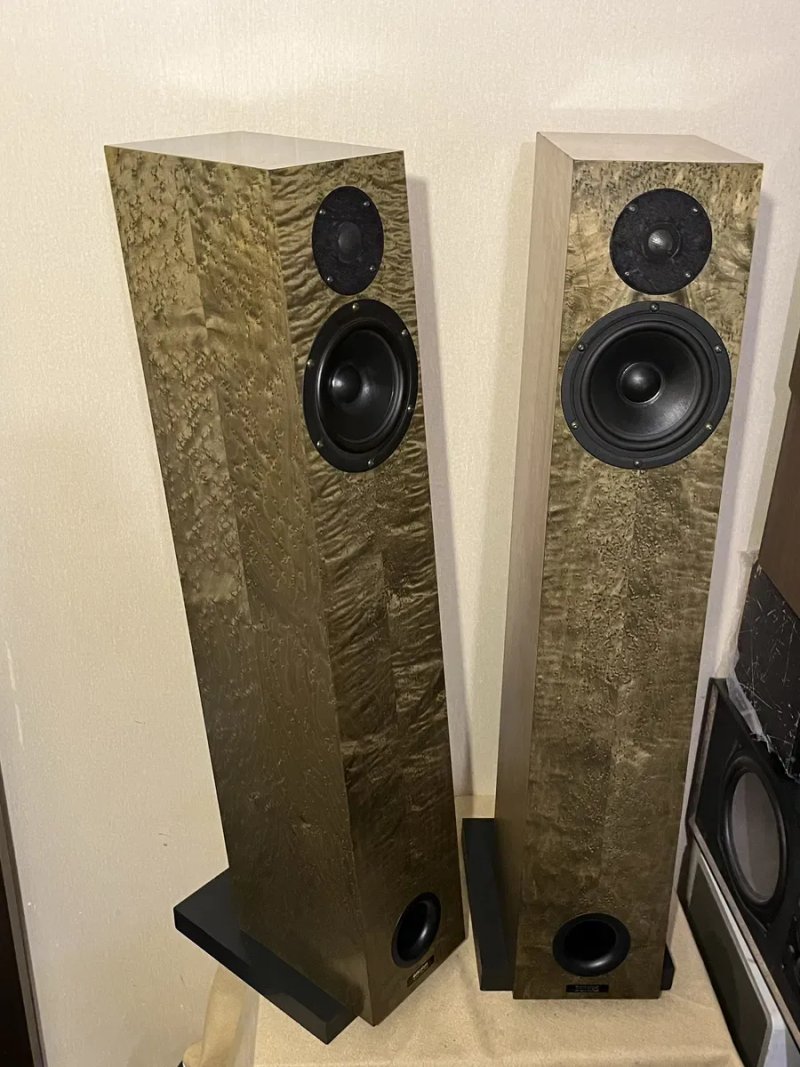 Немецкая редкая HI-END акустика AUDIO-PHYSIC TEMPO 2 (150Вт/8Ом/21кг) — фото 4