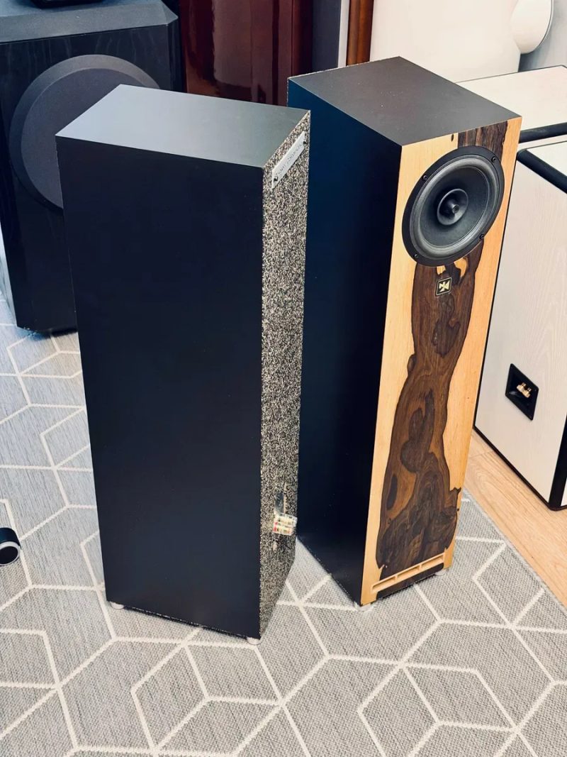 Novozhilov WideArc 6 — напольный широкополосник без кроссовера ℹ️ 6" SB Acoustics, авторский режекторный фильтр, шпон Ziricote | украинская, новая — фото 5