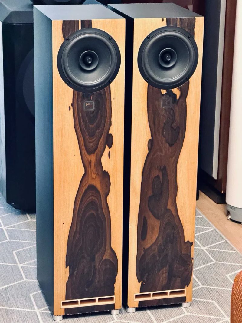 Novozhilov WideArc 6 — напольный широкополосник без кроссовера ℹ️ 6" SB Acoustics, авторский режекторный фильтр, шпон Ziricote | украинская, новая — фото 7