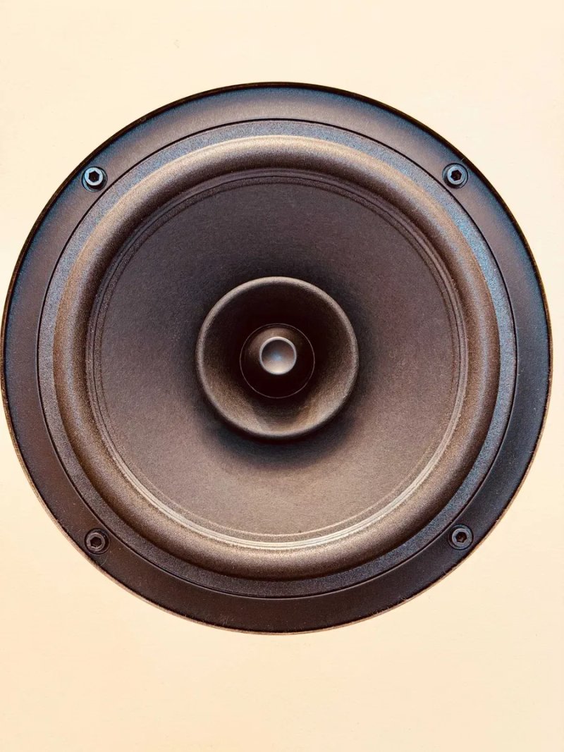 Novozhilov WideArc Compact — полочный широкополосник без кроссовера ℹ️ 6" SB Acoustics, авторский режекторный фильтр | украинская ручная сборка, новая — фото 4