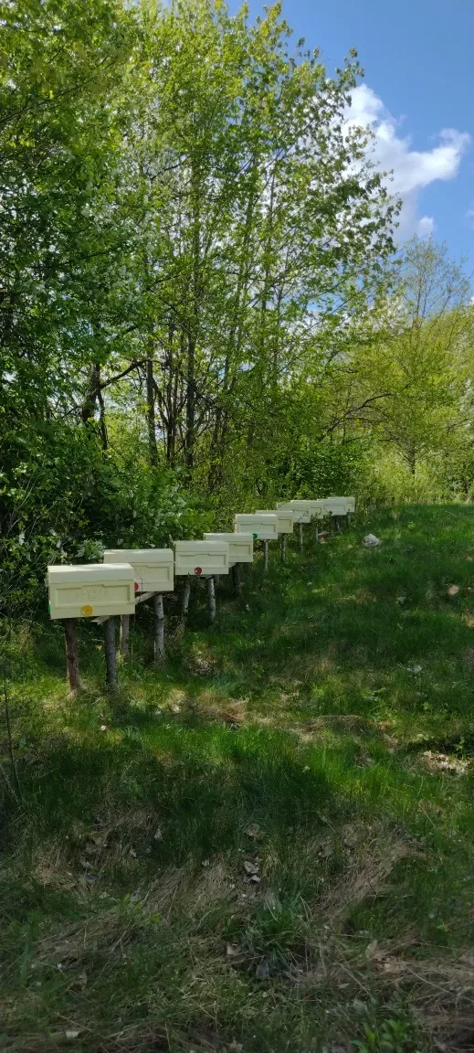 Нуклеус ппу на 4 маткоміста — фото 7