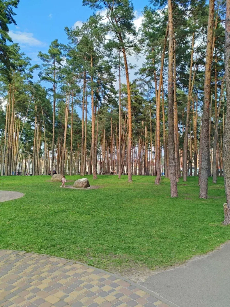 Оренда фасадного приміщення біля Центрального парку, без % — фото 5
