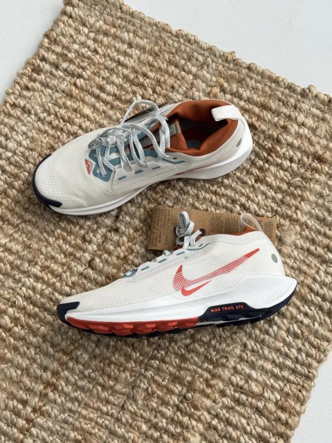 Оригинал Nike Pegasus Trail 5 Gore Tex (FQ0908 003) найк гортекс