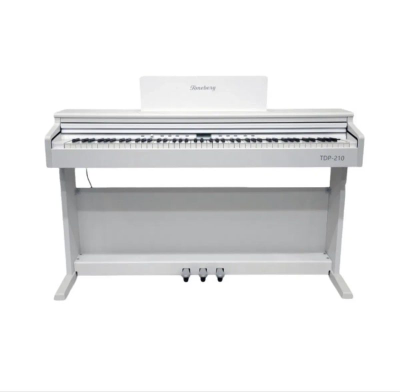 Pearl River v03wh, kurzweil m1, kurzweil ka 150wh kurzweil ka 130 wh, kurzweil m90, Toneberg tdp 210w, nux nck 330 nux wk310 casio ap270 casio ap470 — фото 8