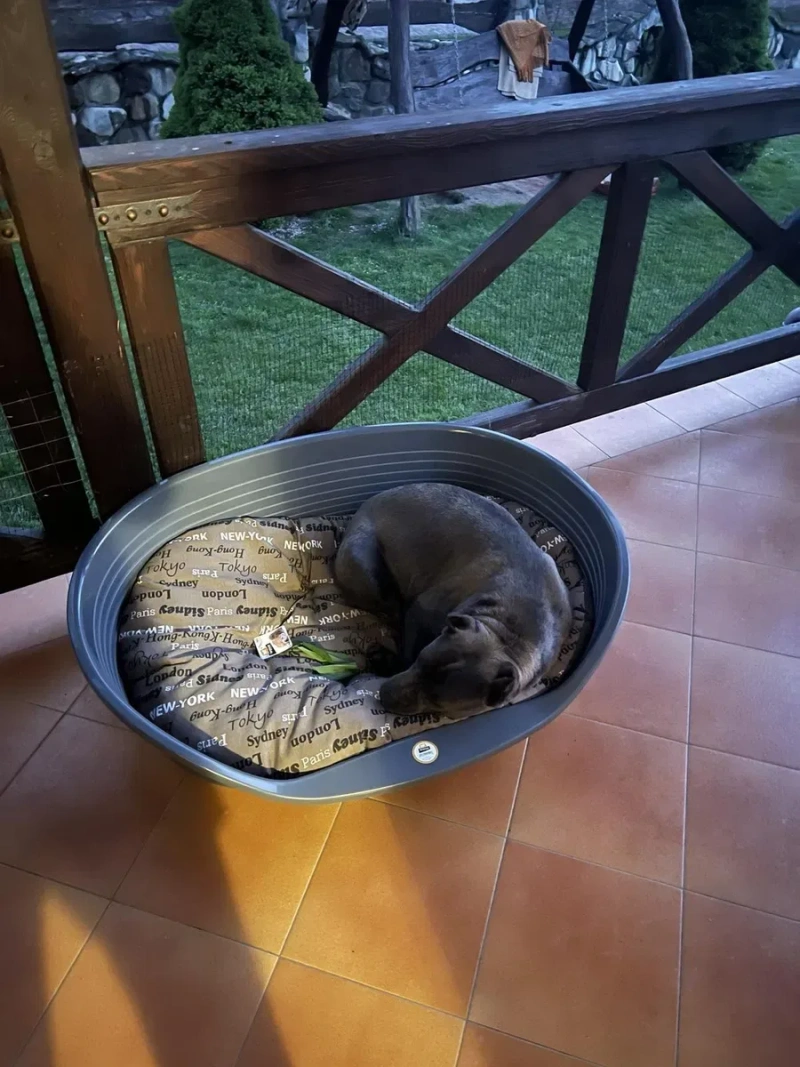 Пластиковий лежак для собак Siesta Deluxe Fеrplast, Сіеста Делюкс 2,4, — фото 7