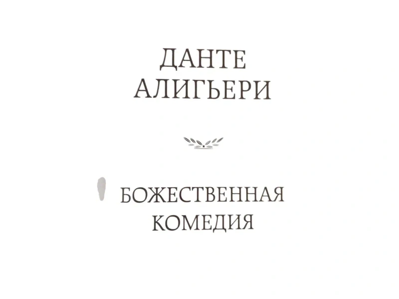 Подарочная книга Данте Алигьери "Божественная комедия" — фото 3