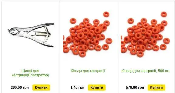 Поилка для коз и овец, машинки для стрижки, уход за копытами, шприцы — фото 5