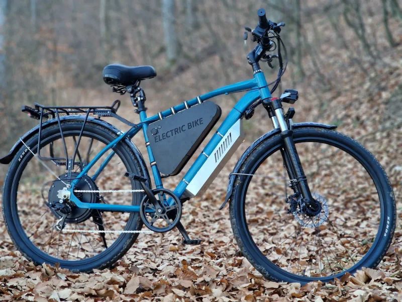 Прямой привод мощный электровелосипед 1500W 48V 20Ah E-bike — фото 4