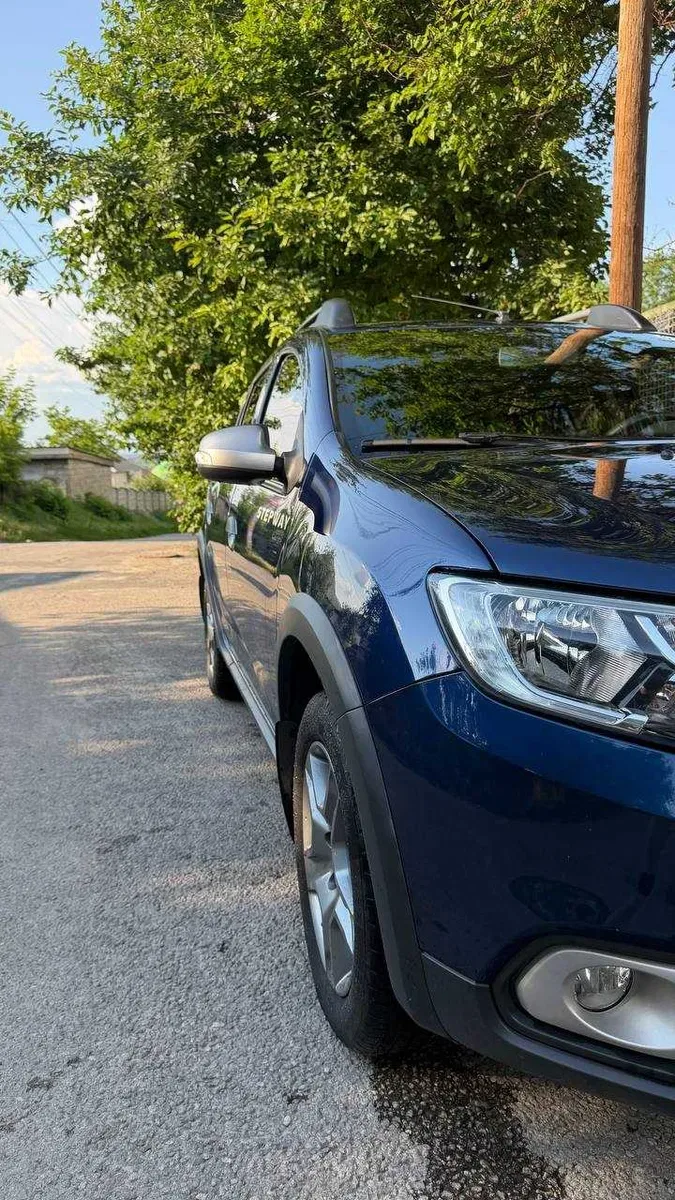 Renault Sandero StepWay 2019 — фото 2