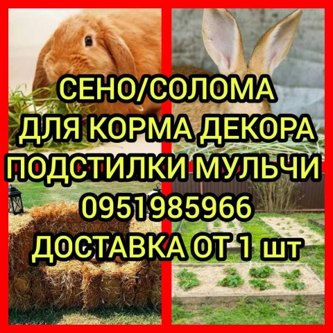 ‼️СЕНО  ДЛЯ ДЕКОРА ДЕКОР для корма, подстилки в тюках мешках дикорастущее сіно с доставкой‼️